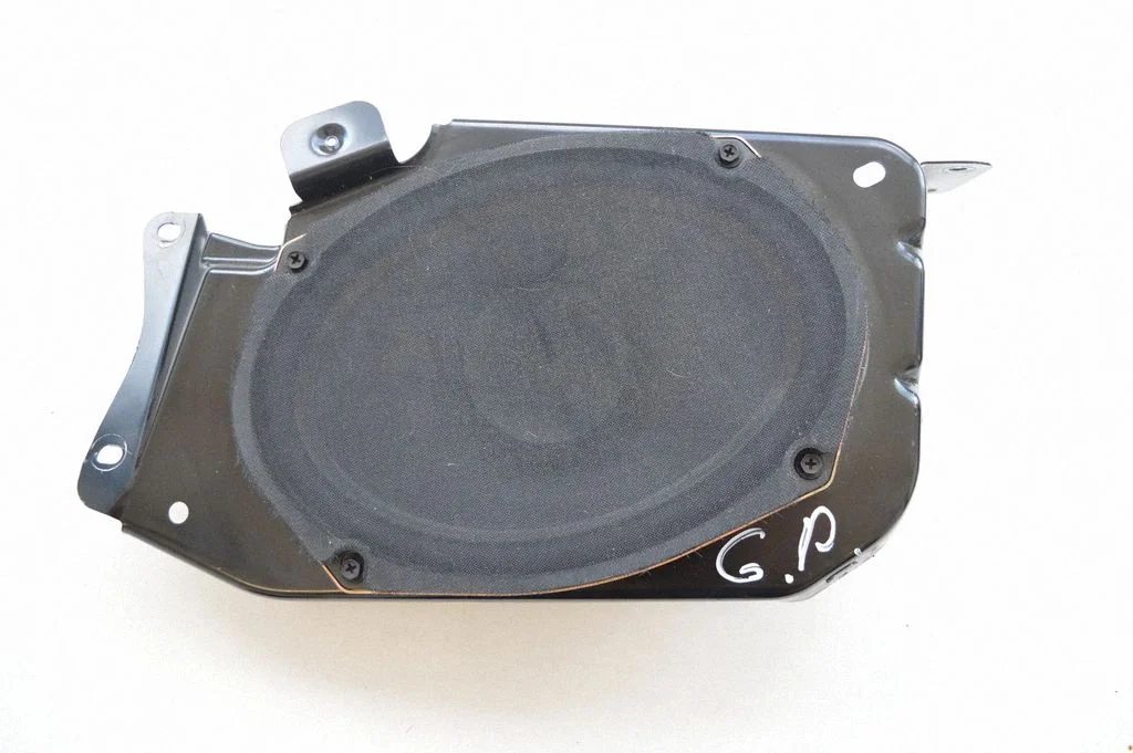 Rear door speaker