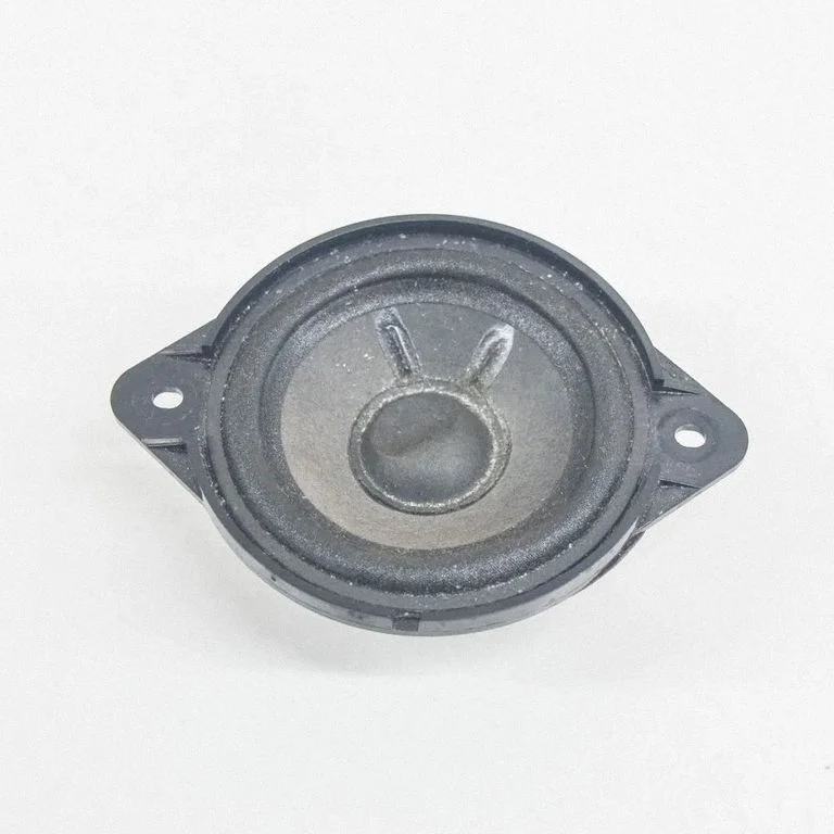 Skaļrunis (-ņi) aizmugurējās durvīs 00803866