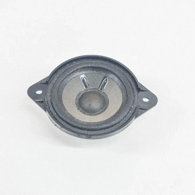 Skaļrunis (-ņi) aizmugurējās durvīs 00803866