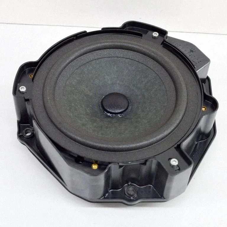 Skaļrunis (-ņi) aizmugurējās durvīs 22414J0801