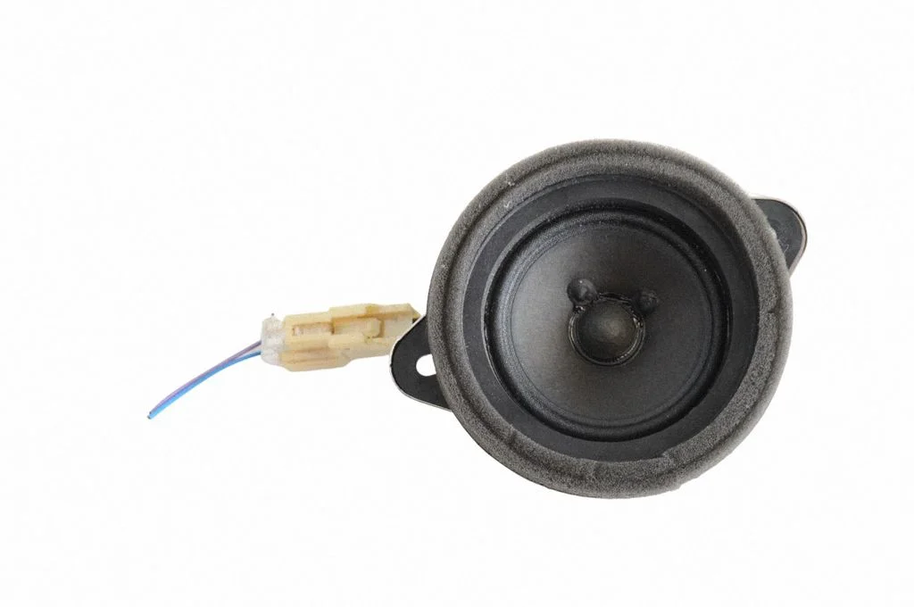 Skaļrunis (-ņi) aizmugurējās durvīs 86301CA020