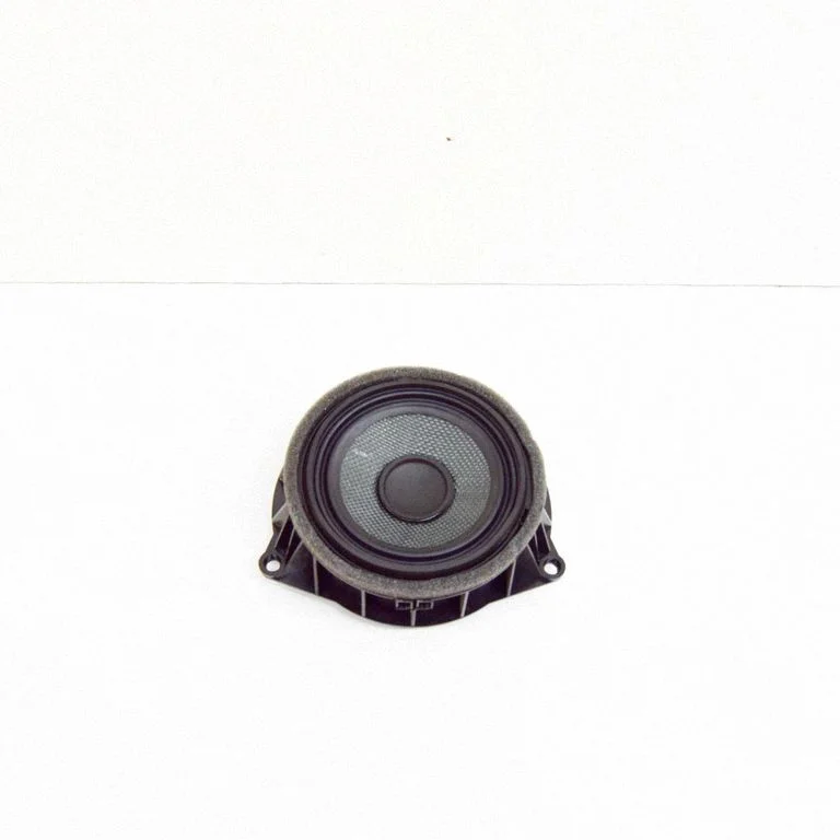 Rear door speaker 9286368