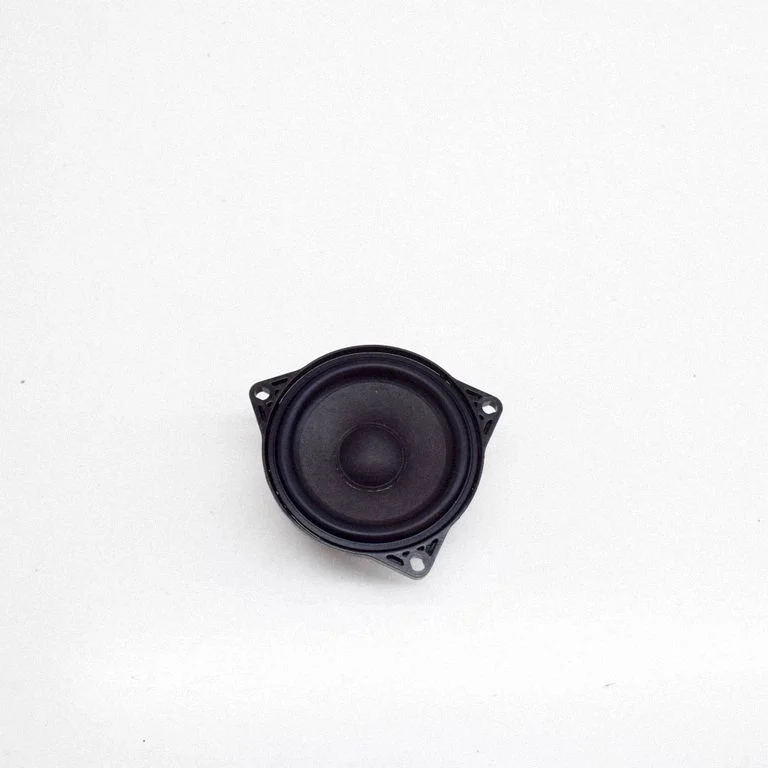 Rear door speaker 107974200A