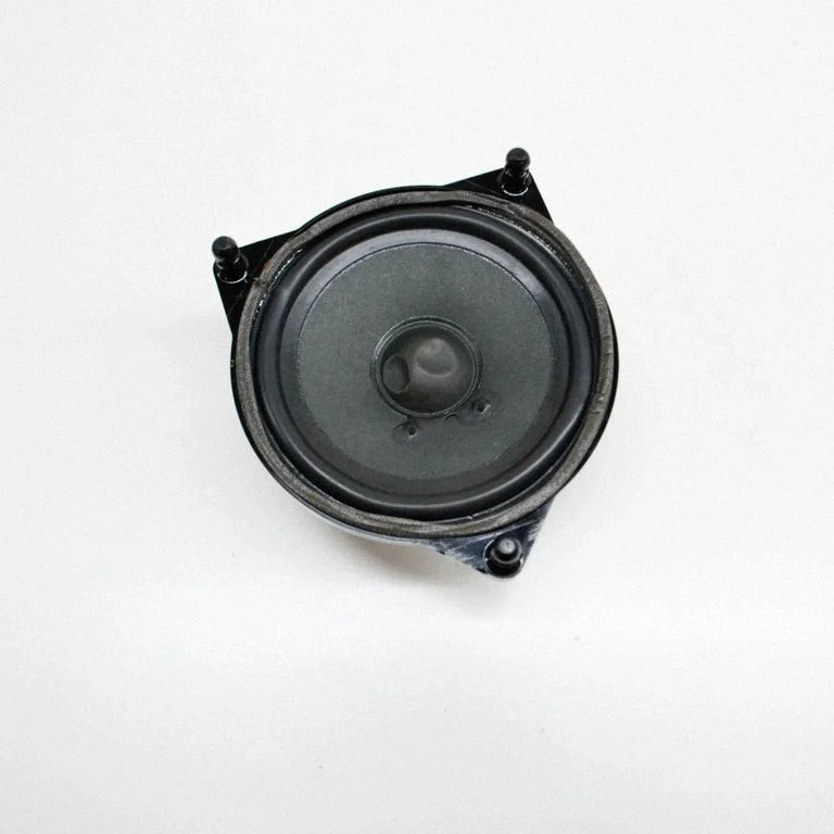 Skaļrunis (-ņi) aizmugurējās durvīs A2138201000