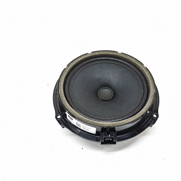 Skaļrunis (-ņi) aizmugurējās durvīs JJ3218808AA