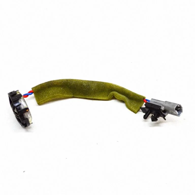 Skaļrunis (-ņi) aizmugurējās durvīs BJ3218808AC