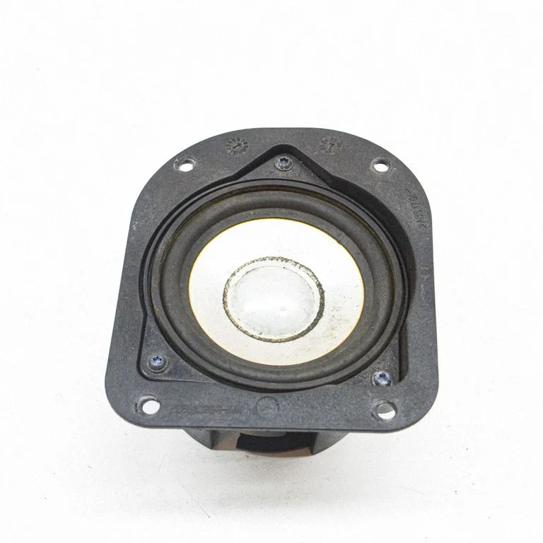 Skaļrunis (-ņi) aizmugurējās durvīs 6929768