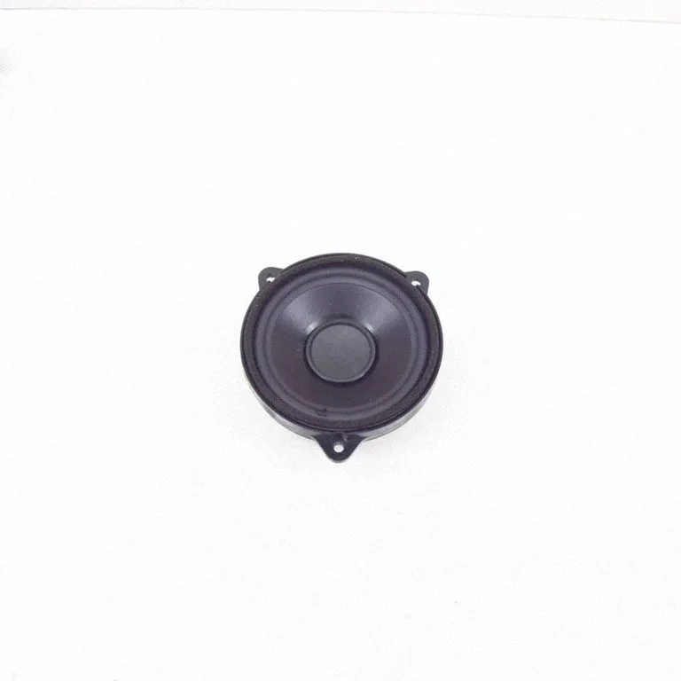 Rear door speaker 434107864261