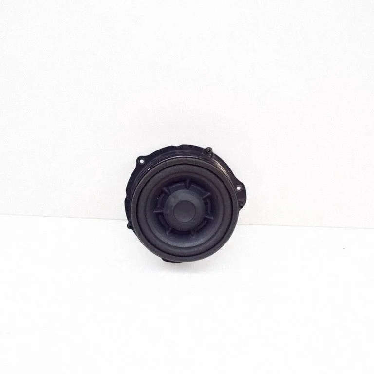 Rear door speaker