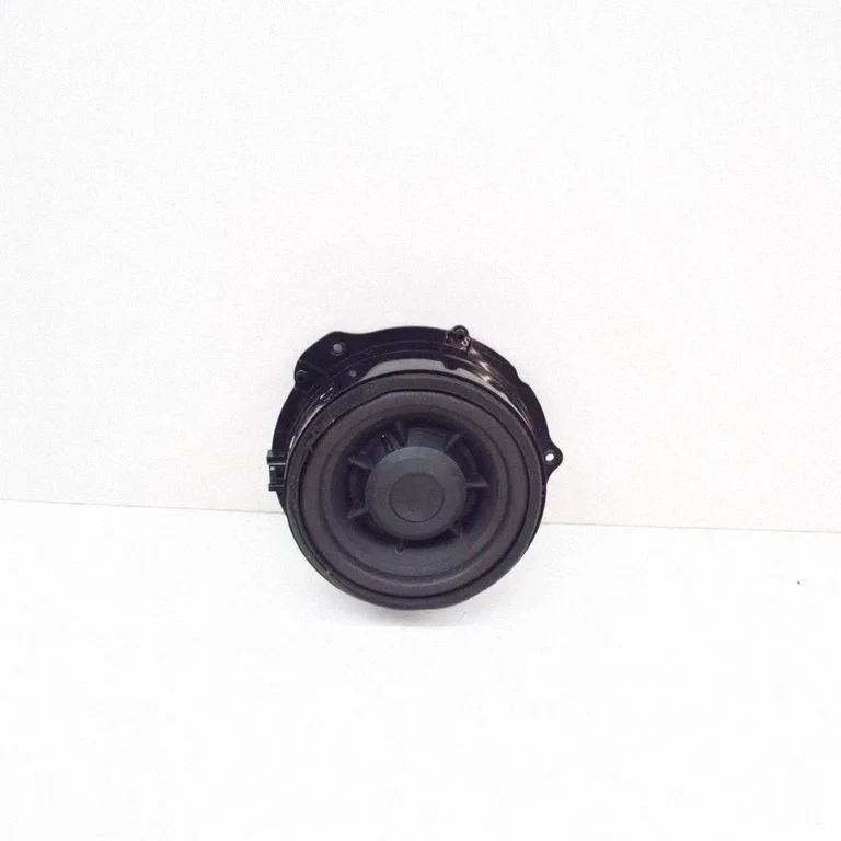 Rear door speaker – left