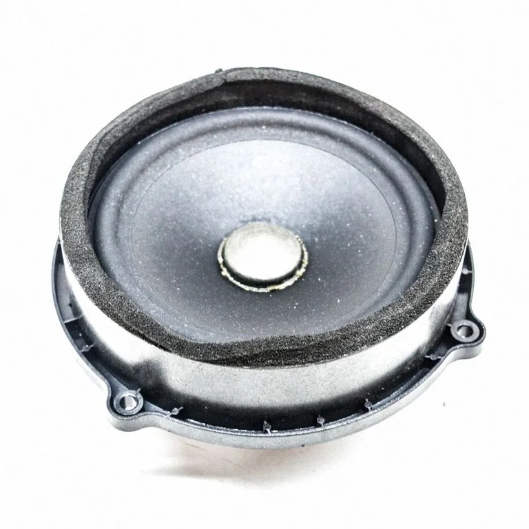 Skaļrunis (-ņi) aizmugurējās durvīs BH2218808EA