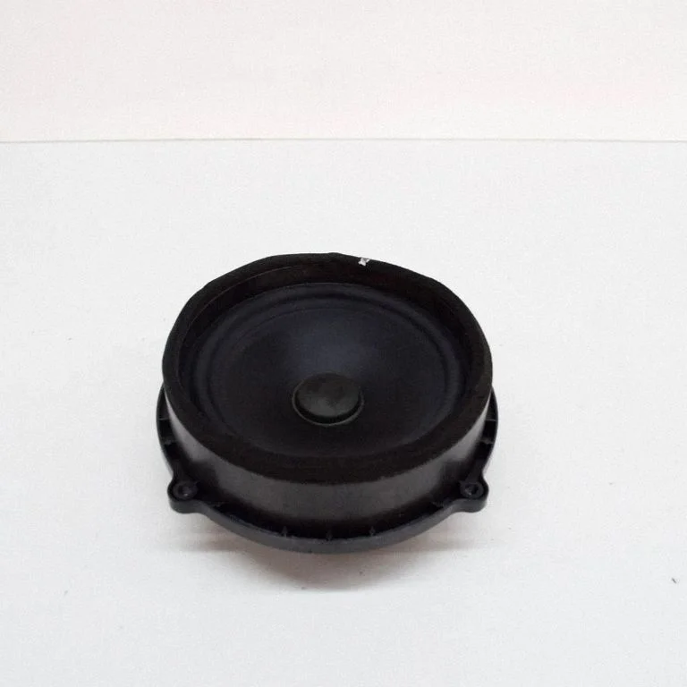Skaļrunis (-ņi) aizmugurējās durvīs 41018802