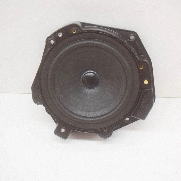 Skaļrunis (-ņi) aizmugurējās durvīs 41021701
