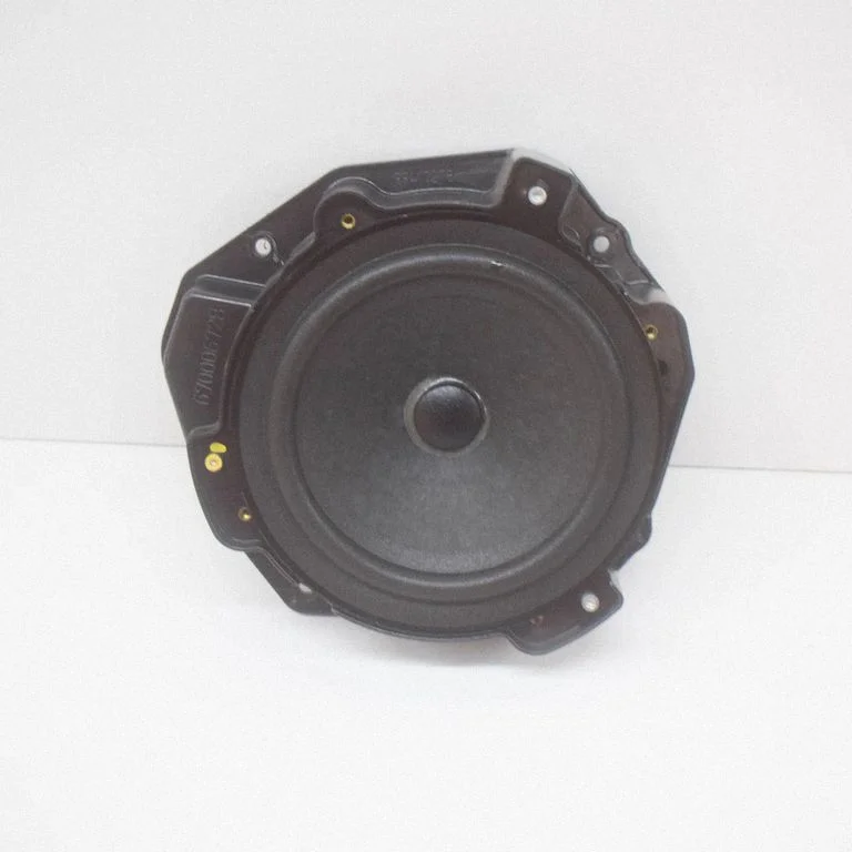 Skaļrunis (-ņi) aizmugurējās durvīs 670002106