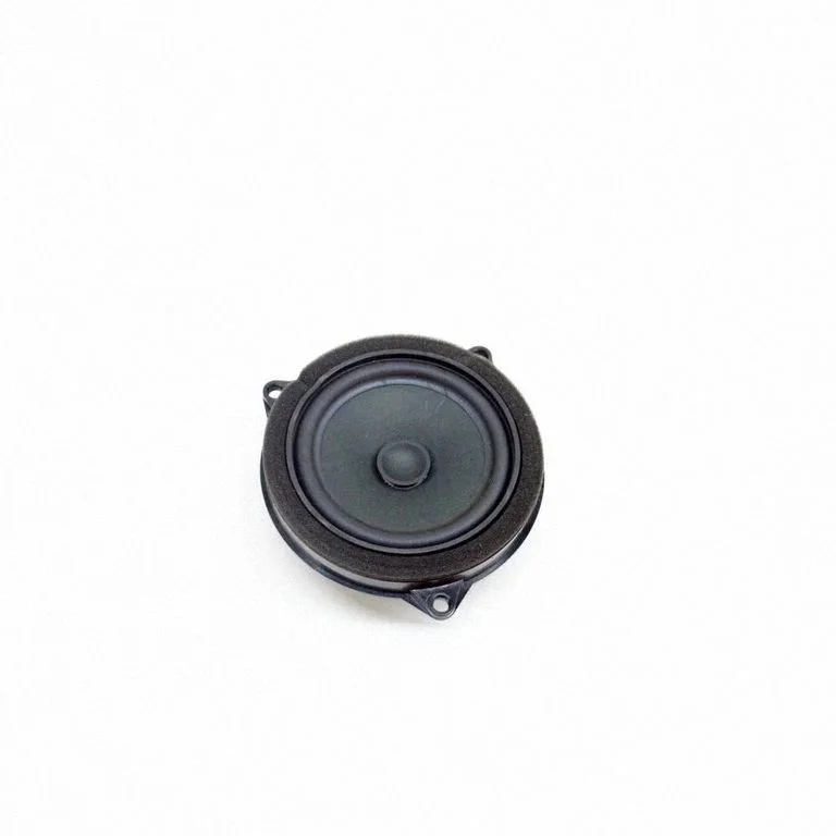 Rear door speaker 6809626