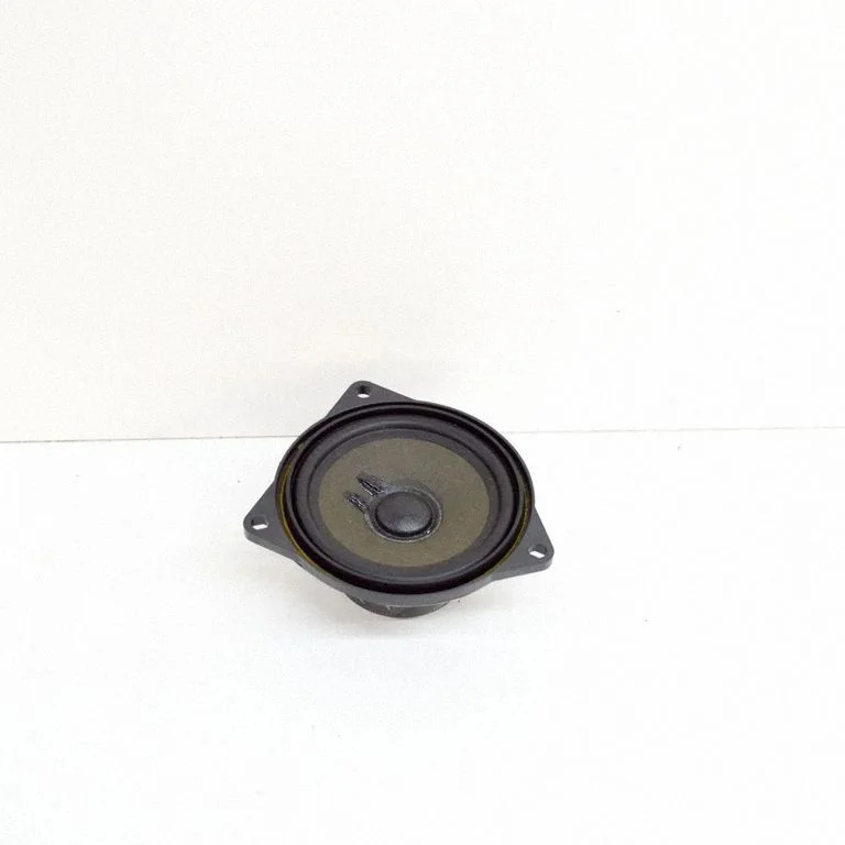 Skaļrunis (-ņi) aizmugurējās durvīs 9395859