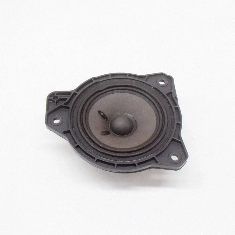Skaļrunis (-ņi) aizmugurējās durvīs 31456870