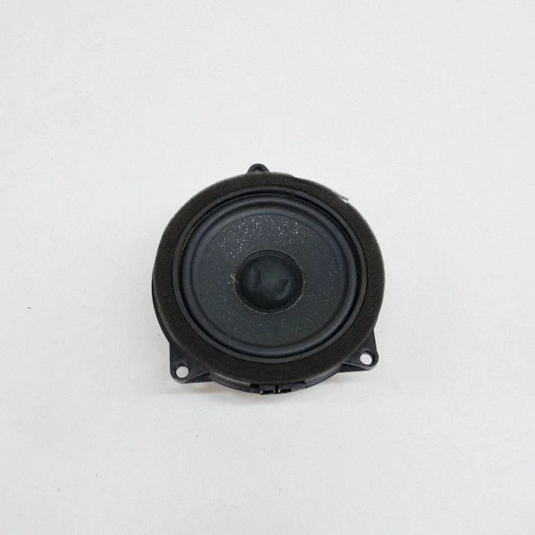 Skaļrunis (-ņi) aizmugurējās durvīs 6809629