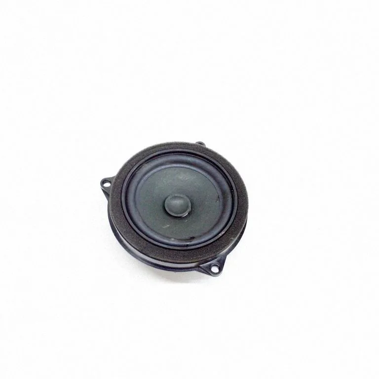 Rear door speaker 6809626