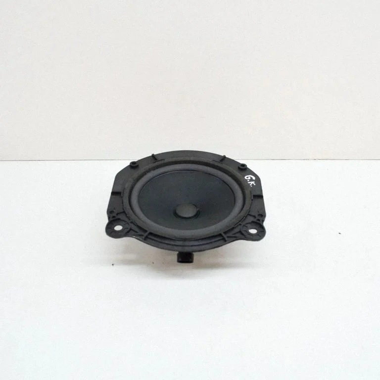 Rear door speaker 1000913002