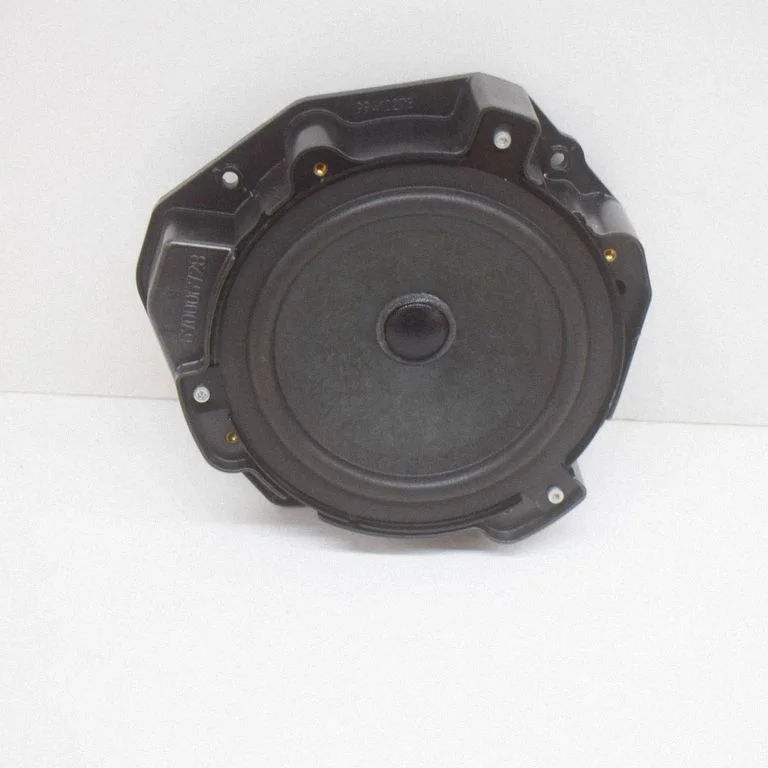 Skaļrunis (-ņi) aizmugurējās durvīs 670006728