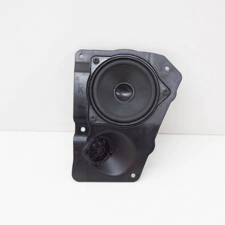 Skaļrunis (-ņi) aizmugurējās durvīs 4304078