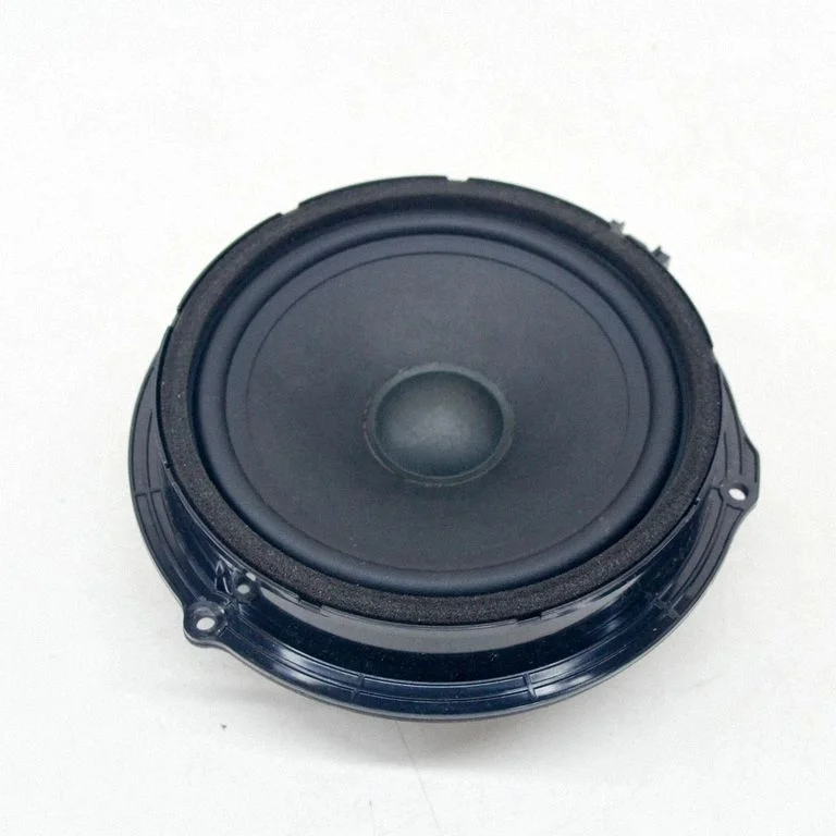 Skaļrunis (-ņi) aizmugurējās durvīs 430407771191