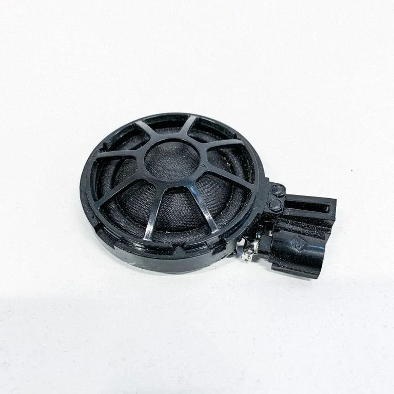 Rear door speaker 1000345001