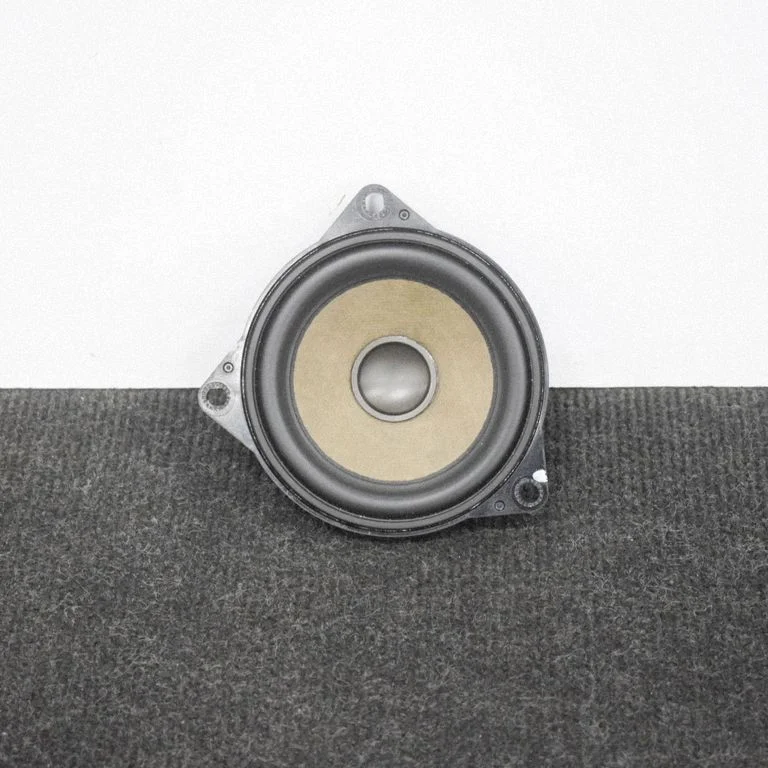 Rear door speaker 4304078