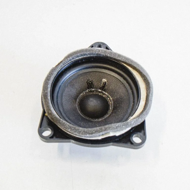 Skaļrunis (-ņi) aizmugurējās durvīs A01900600
