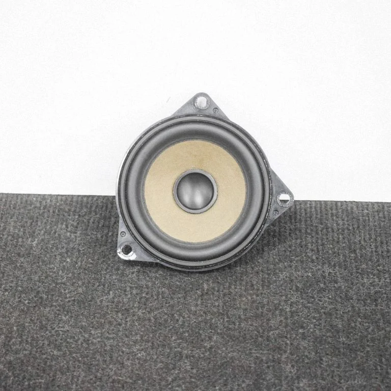 Rear door speaker 4304078