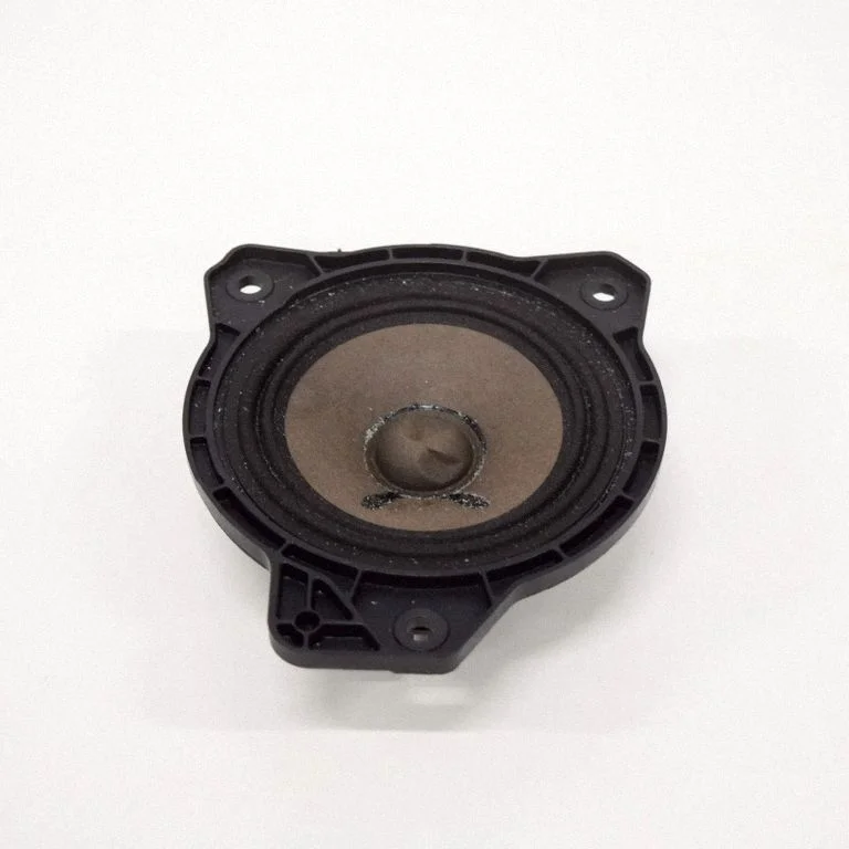 Rear door speaker 31456870
