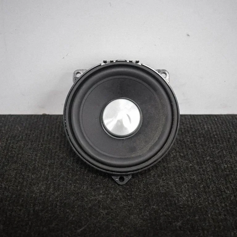 Skaļrunis (-ņi) aizmugurējās durvīs BH2218808FA