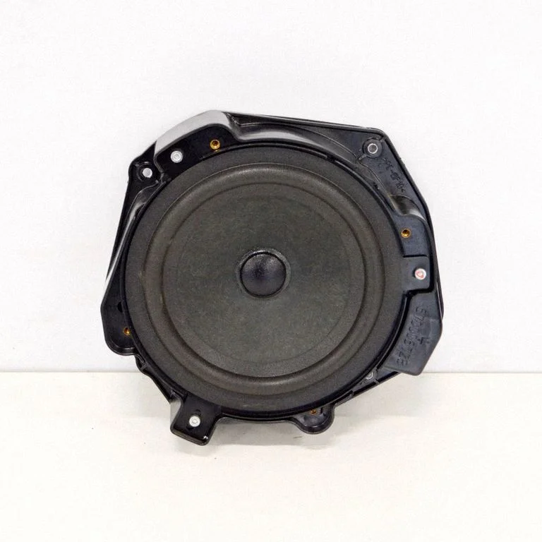 Rear door speaker 670002106