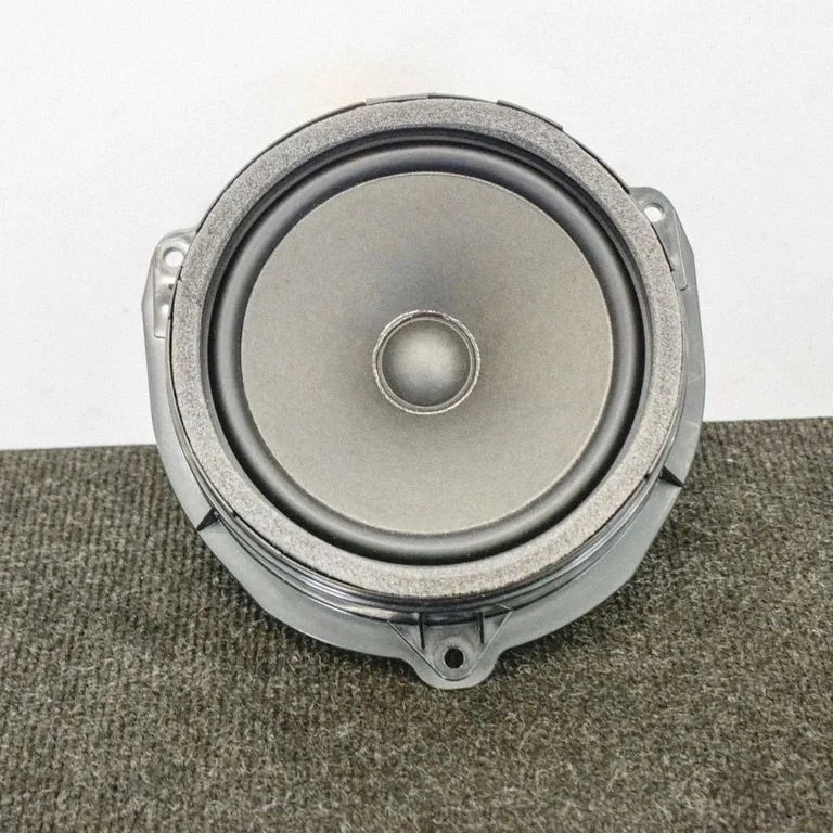 Skaļrunis (-ņi) aizmugurējās durvīs 4K9035411