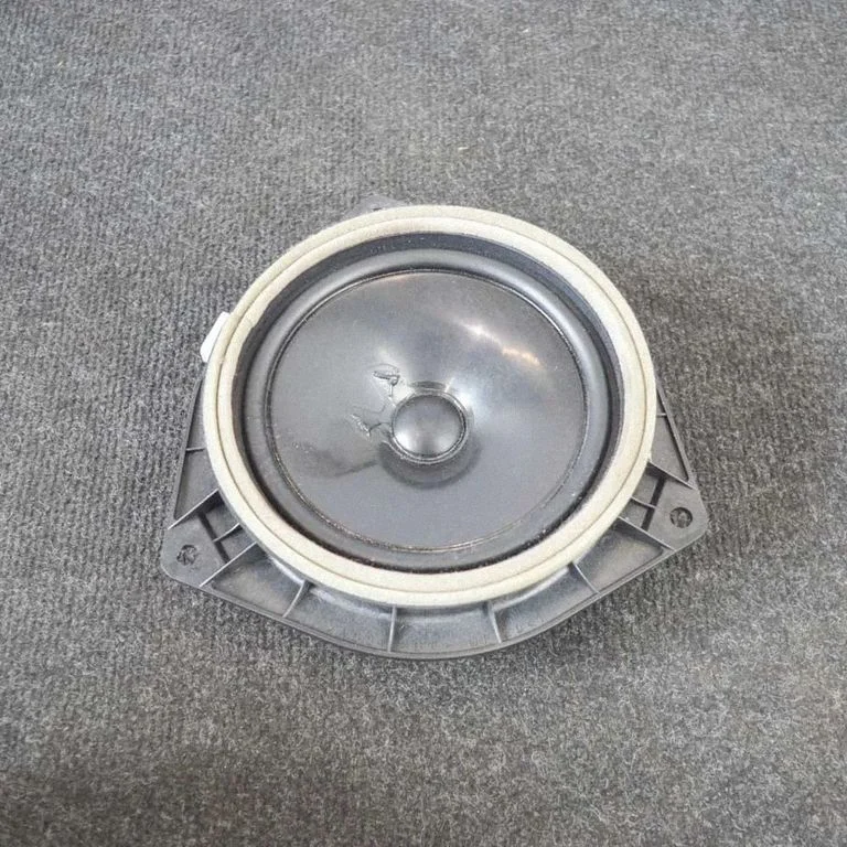 Skaļrunis (-ņi) aizmugurējās durvīs TFF7181