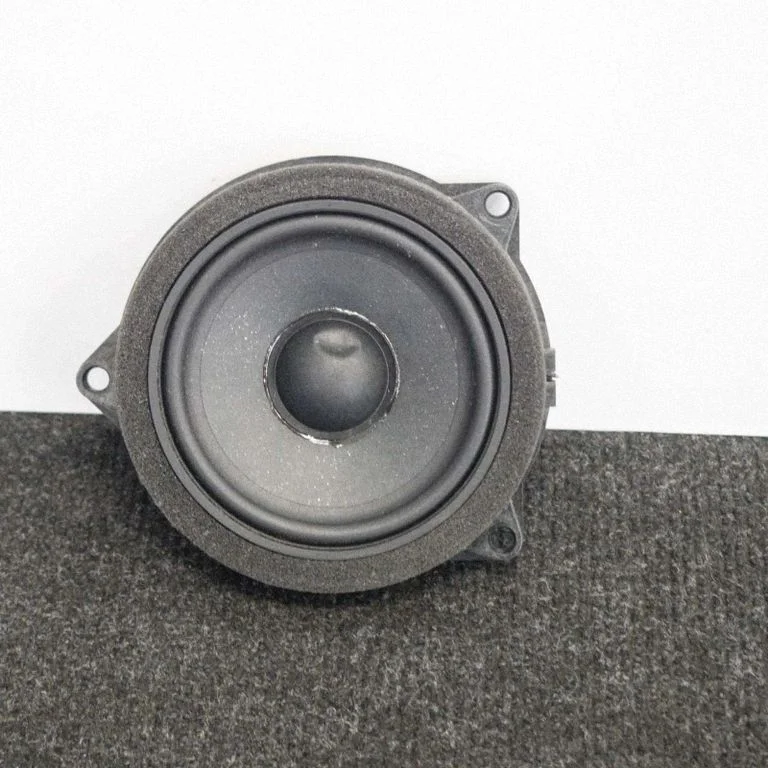 Skaļrunis (-ņi) aizmugurējās durvīs 6809629