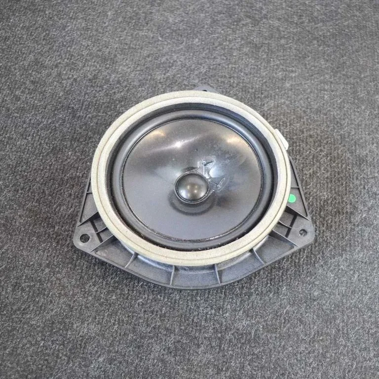 Skaļrunis (-ņi) aizmugurējās durvīs TFF7181