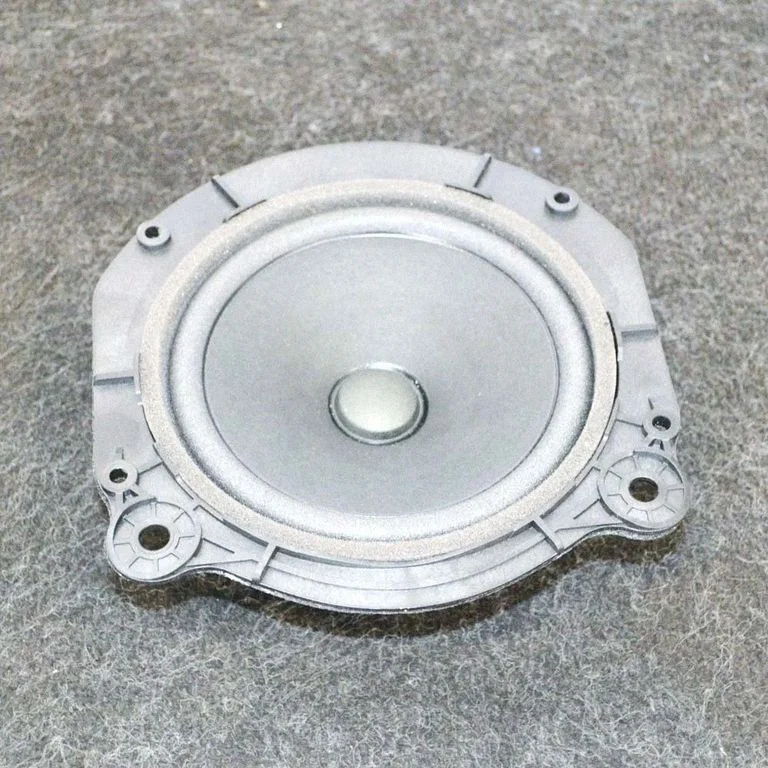 Skaļrunis (-ņi) aizmugurējās durvīs 105070900B