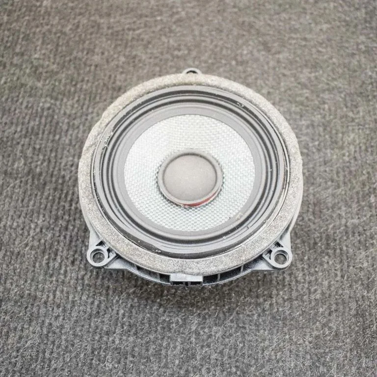 Rear door speaker – BMW X3 F25 (2010-2017)