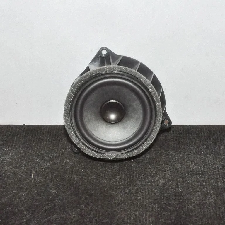 Skaļrunis (-ņi) aizmugurējās durvīs 9286366