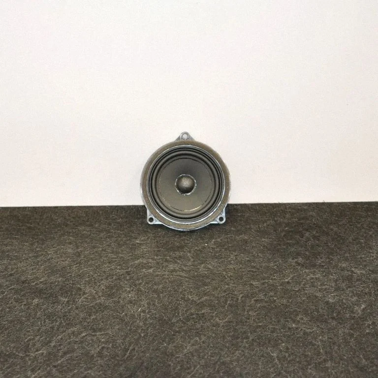 Głośnik w drzwiach tylnych – Mini Cooper Countryman R60 (2011-2016)