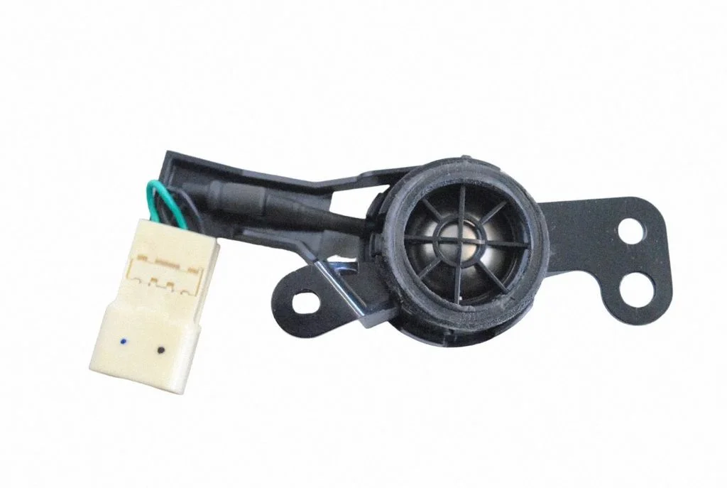 Skaļrunis (-ņi) aizmugurējās durvīs 8176AA