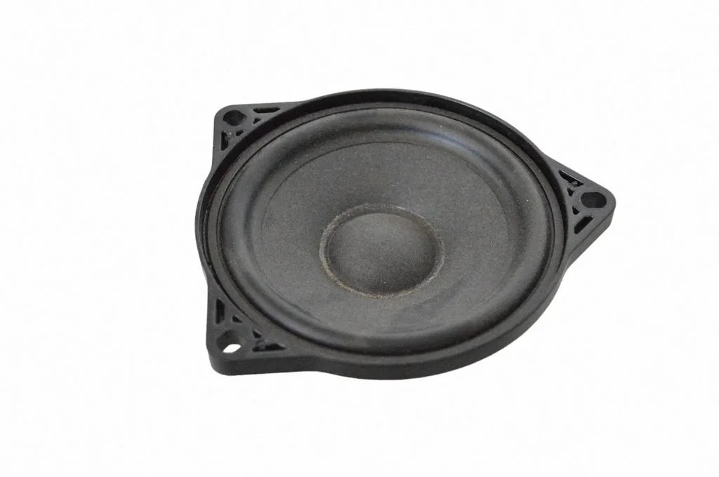 Skaļrunis (-ņi) aizmugurējās durvīs 107974200A
