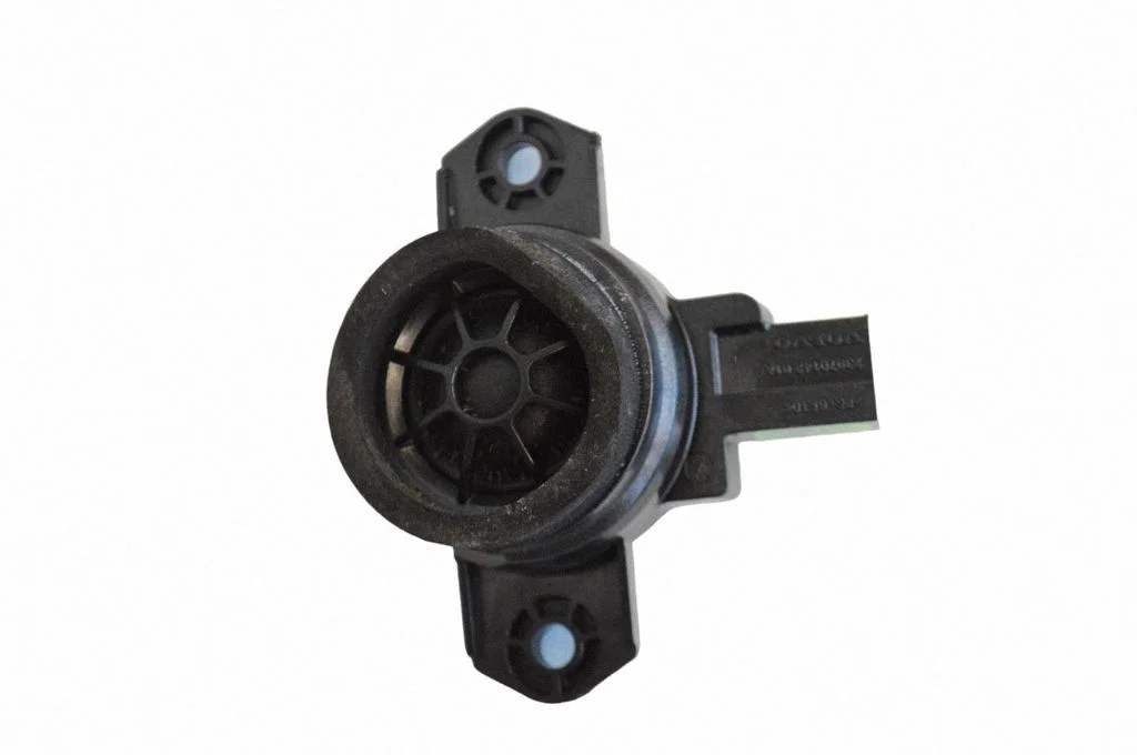 Skaļrunis (-ņi) aizmugurējās durvīs 31489121