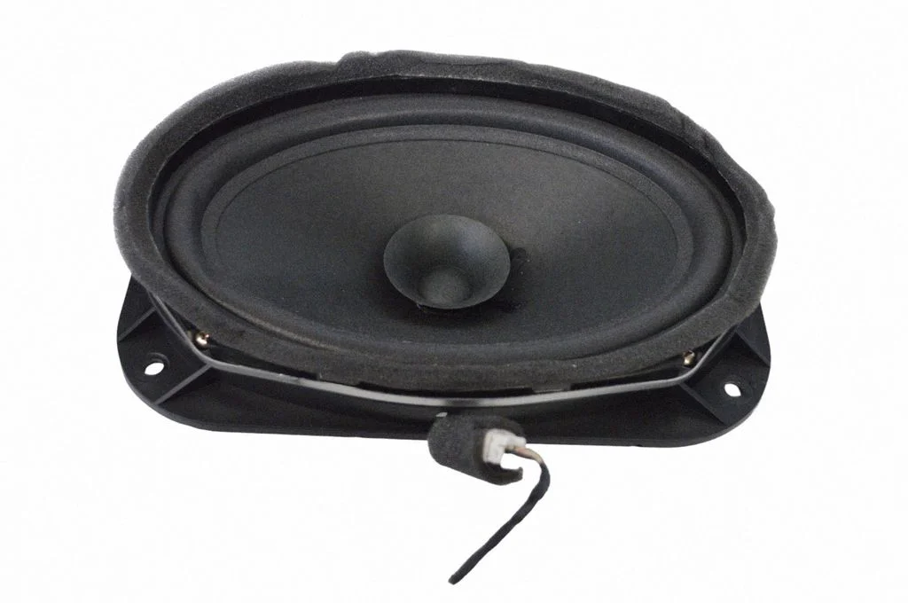 Skaļrunis (-ņi) aizmugurējās durvīs 8930121023