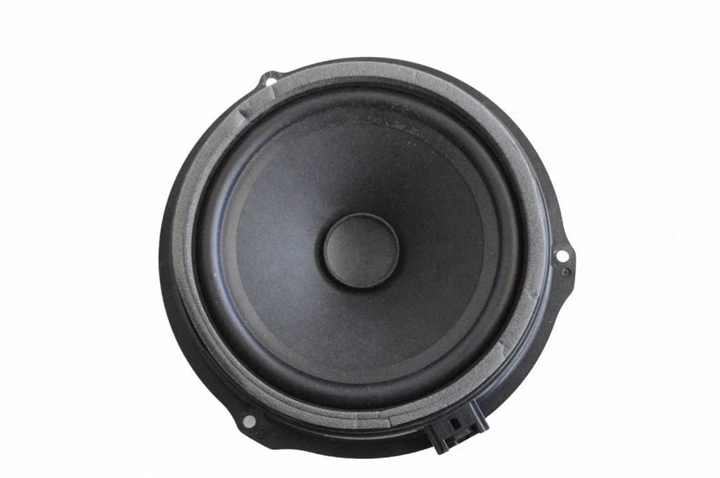 Skaļrunis (-ņi) aizmugurējās durvīs AW9318808FC