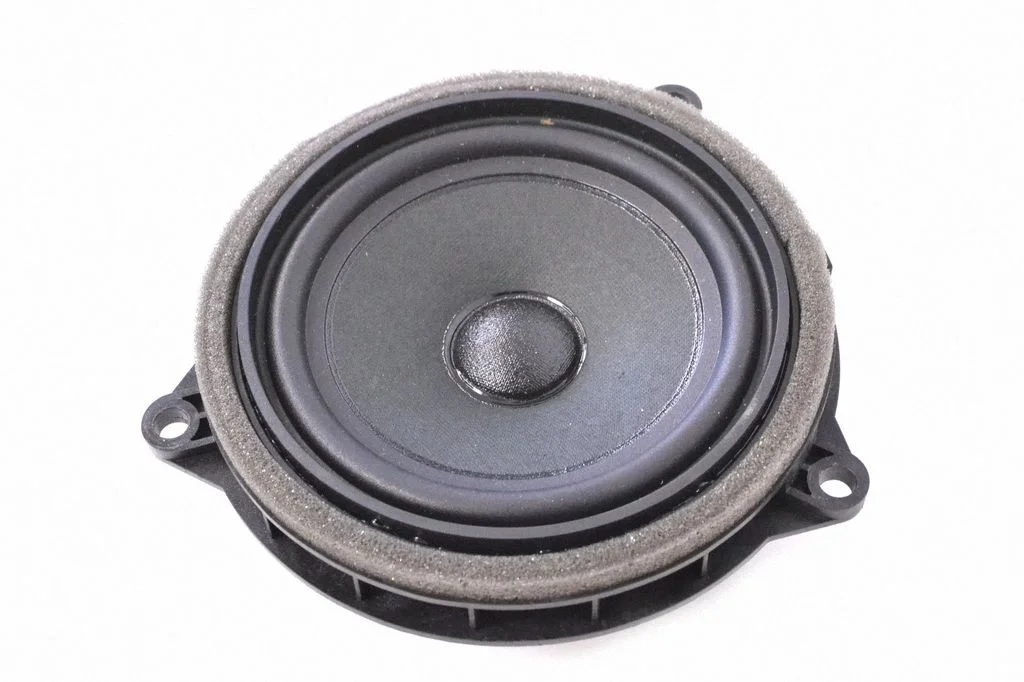 Głośnik w drzwiach tylnych – Mini Cooper Countryman R60 (2011-2016)