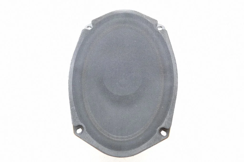 Rear door speaker
