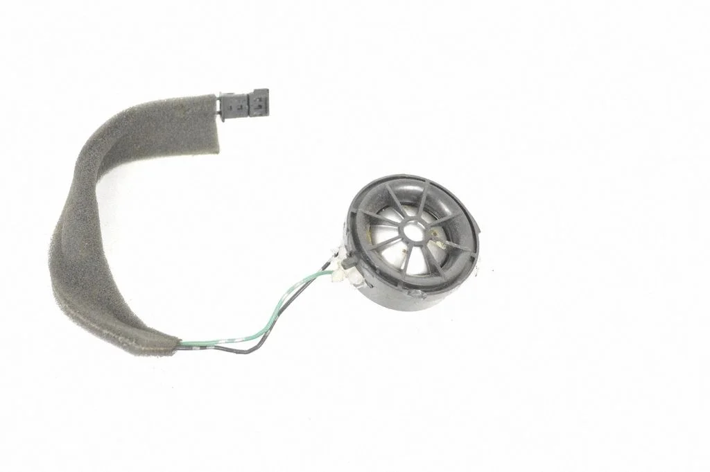 Skaļrunis (-ņi) aizmugurējās durvīs 5H2219A067CA